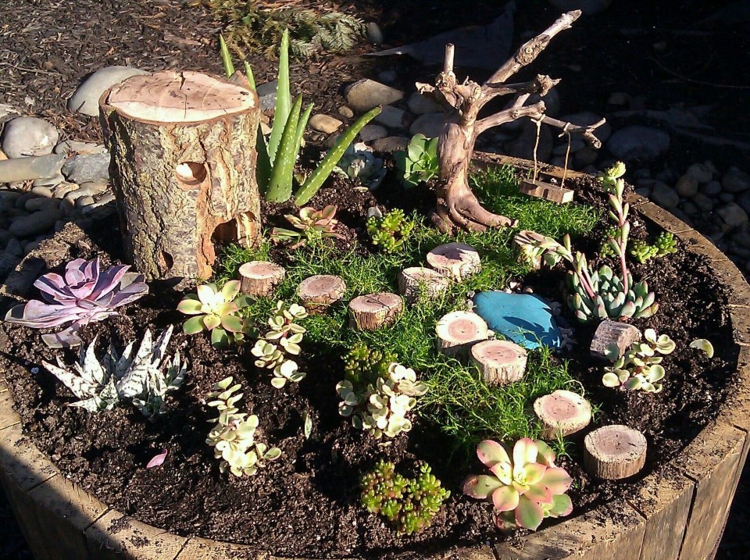 decoration-jardin-arrangement-succulentes-bûches