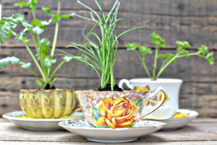 decoration-jardin-tasses-café-plantes-vertes