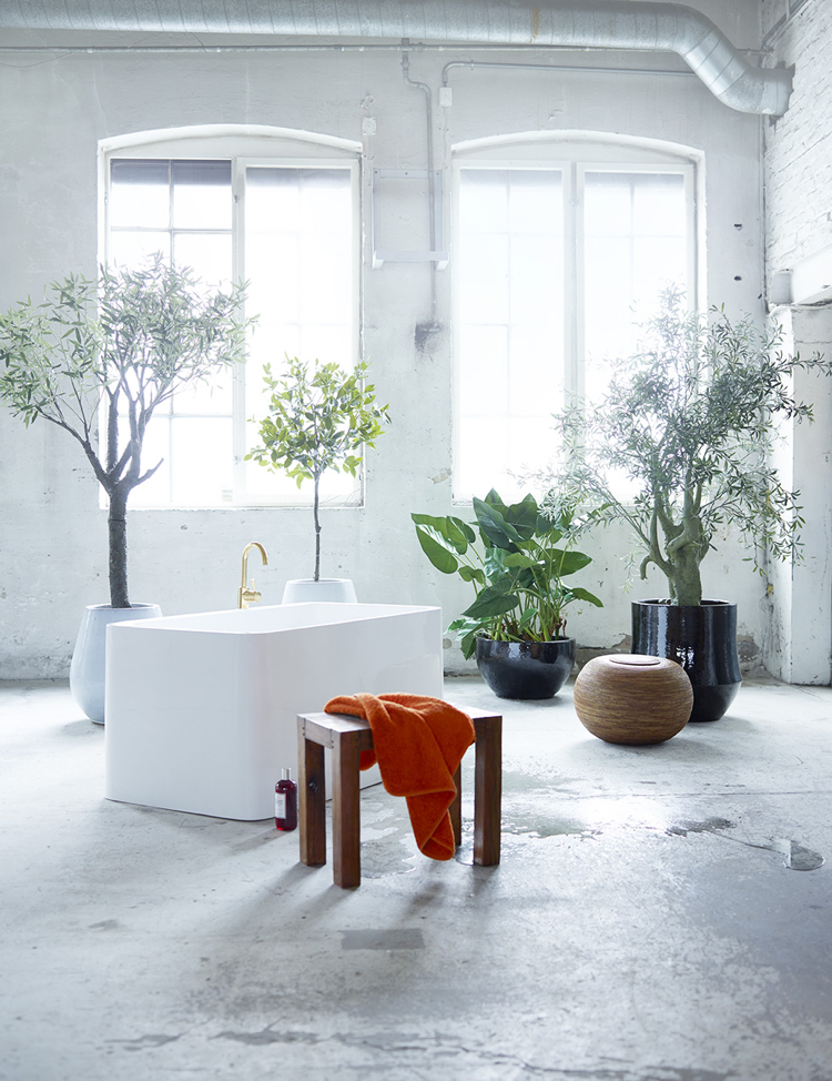 déco maison -plantes-intérieur-vertes-salle-bains-blanche