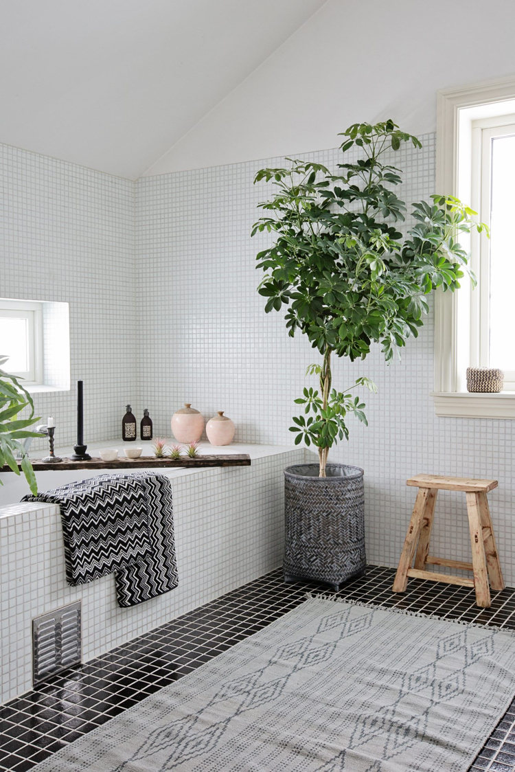 déco-maison-plantes-intérieur-vertes-salle-bains-mosaique-blanche