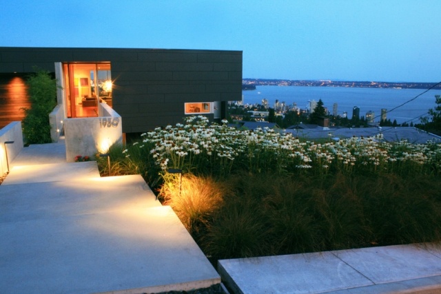 idée-jardin-moderne-Botanica-Design-Ambleside-éclairage-fleurs
