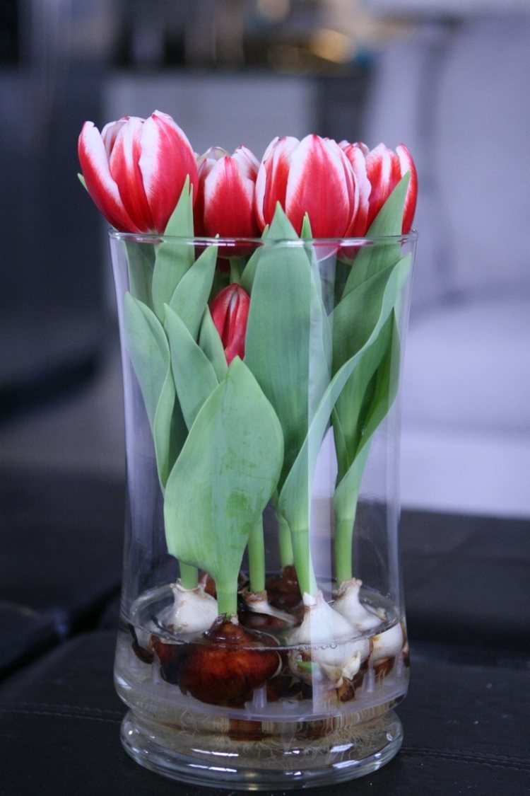 idées déco printaniere-bouquet-tulipe-bocal