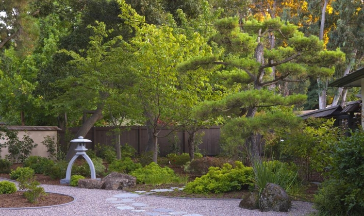 jardin-Feng-Shui-allee-pas-japonais-vegetation