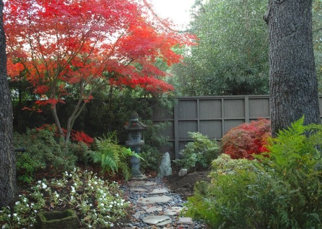 jardin Feng Shui style-japonais-allee-pas-japonais