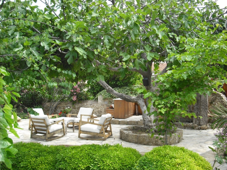 jardin-japonais-meubles-bois-arbres-buis-pierres jardin japonais