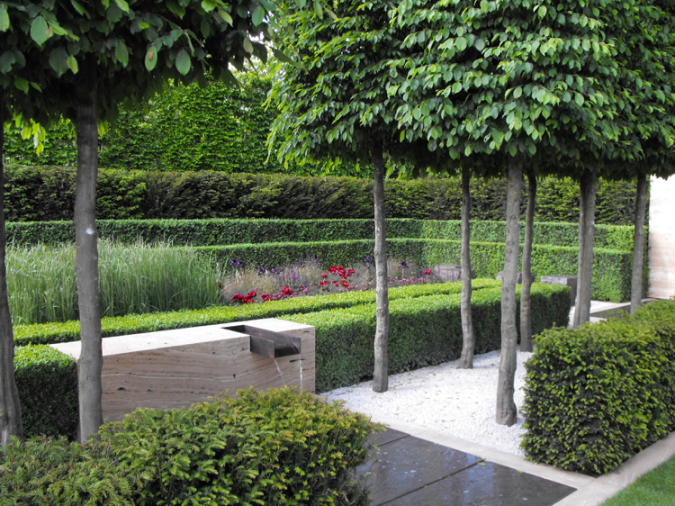 jardin moderne -formel-bordure-buis-jeunes-arbres