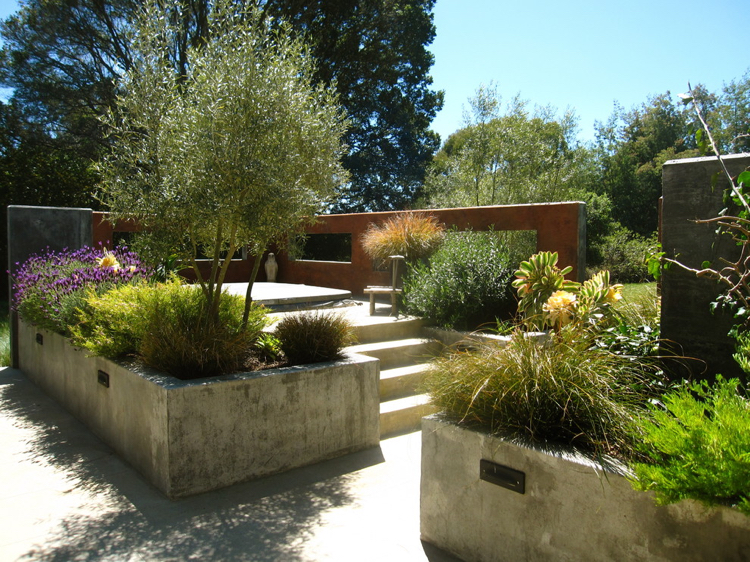 jardin moderne -parterres-surélevés-béton-lavande-olivier-graminées-ornement
