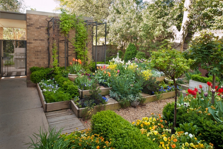 jardin-moderne-tendances-fleurs-plantes-grimpantes
