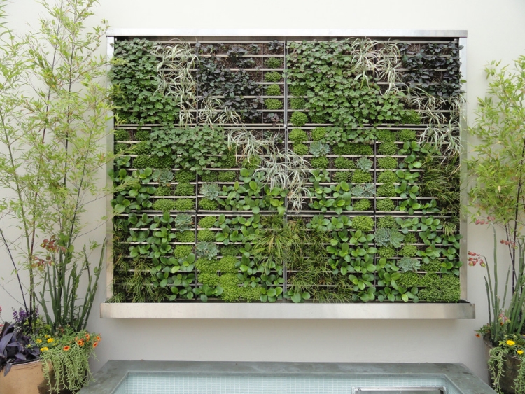 jardin-moderne-tendances-mur-végétal-piscine