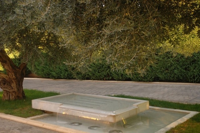 jardin paysager contemporain cascade grand olivier