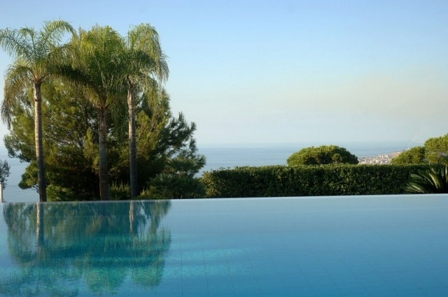 jardin paysager piscine débordement-infinie-palmiers-buis