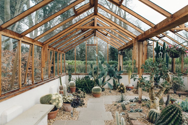 jardin sec moderne serre vitrée cactus déco gravier