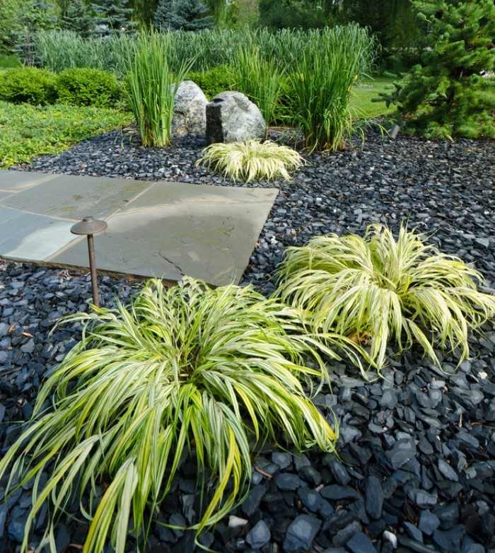 jardin-zen-herbe-Japon-gravier-ardoise-anthracite