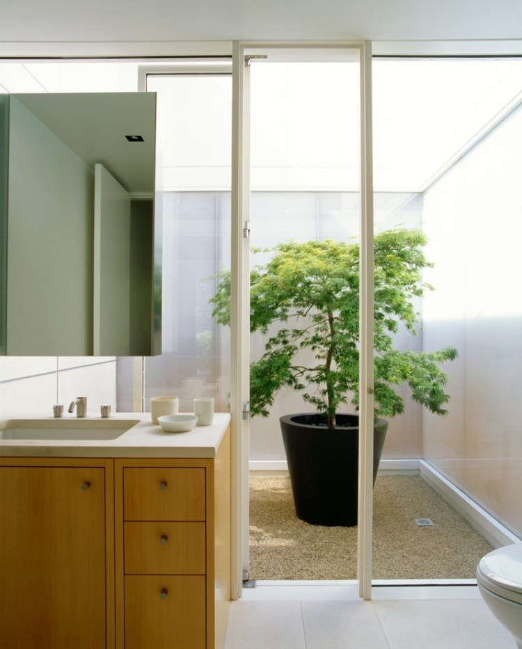 jardin zen intérieur érable Japon-pot-salle-bains