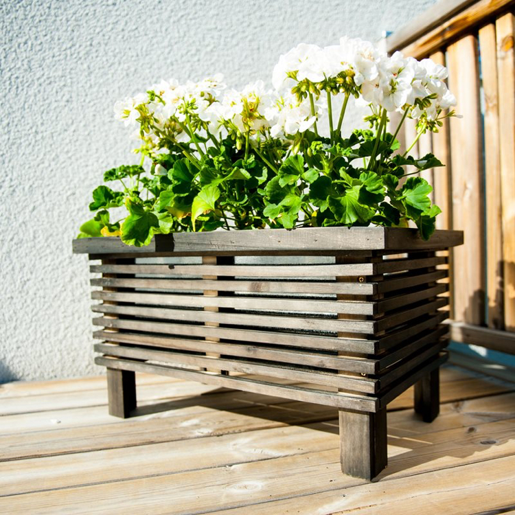 jardinière en bois -design-moderne-géranium-blanc