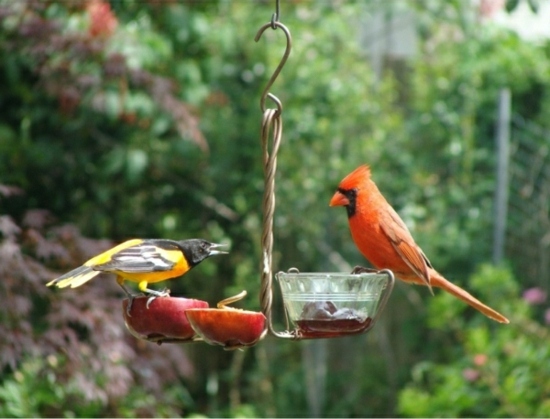 mangeoire-oiseaux-DIY-multicolores