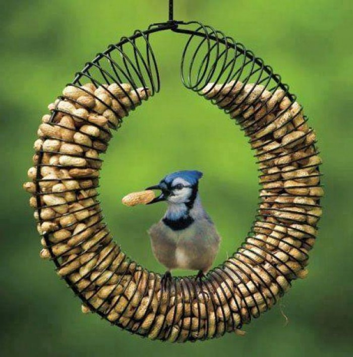 mangeoire oiseaux jardin réaliser-soi-même-ressort