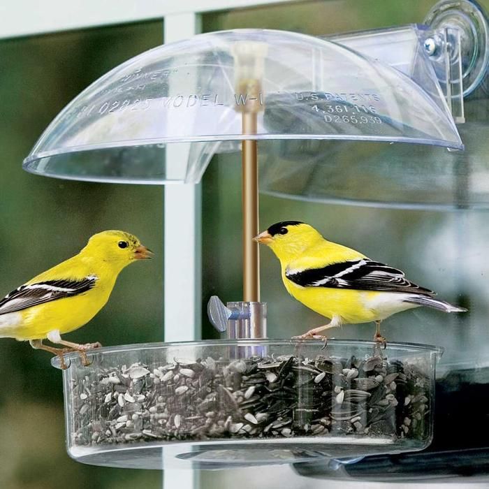 mangeoire oiseaux plastique attirer-oiseaux-jardin
