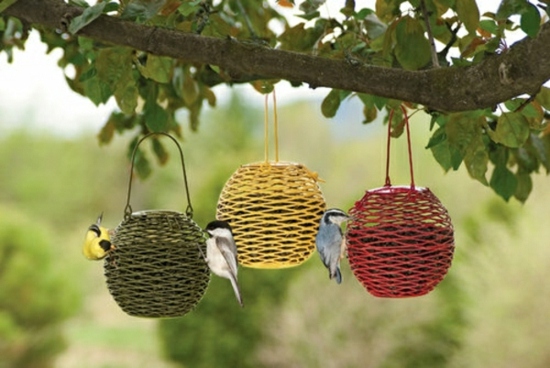 mangeoire oiseaux suspendus-arbre-jardin