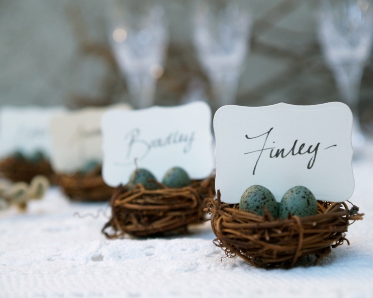 marque-place-mariage-hiver-idee-deco-table-oeufs-nid