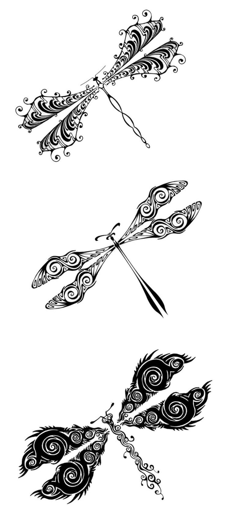 modele-tatouage-libellules-ailes-intéressantes modèle de tatouage