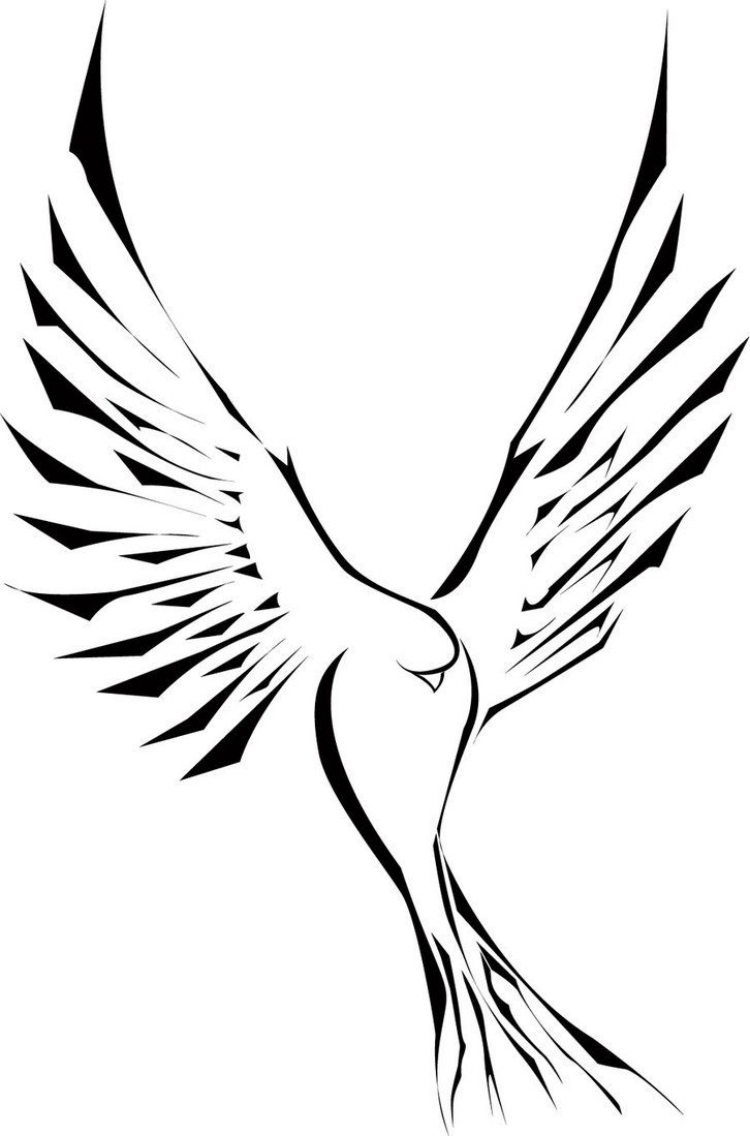 modele-tatouage-pigeon-blanc-magnifique modèle de tatouage