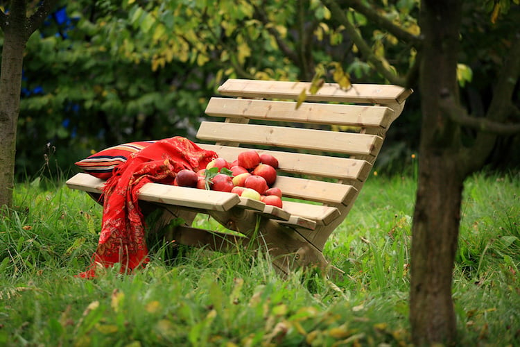 petit-banc-jardin-bois-naturel-clair-pommes-rouges