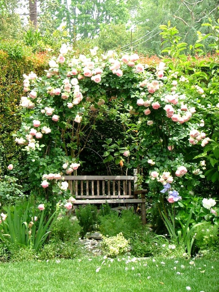 petit banc jardin bois sous-arche-roses-grimpantes
