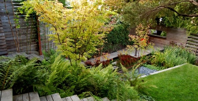 petit-jardin-niveaux-escalier-plantes-pelouse