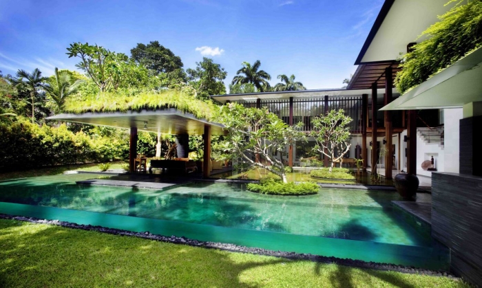 piscine extérieure 2015 paroi-transparente-toiture-végétalisée