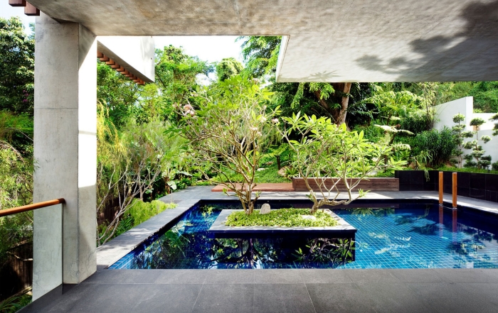 piscine extérieure luxe-forme-carrée-plantes-milieu
