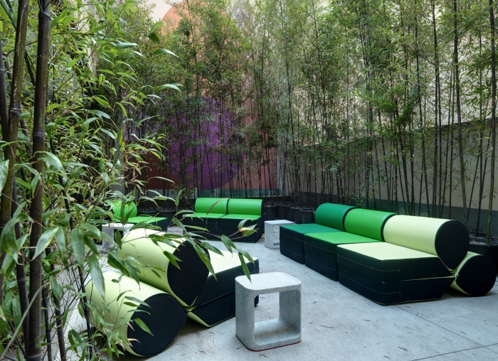 plantes de jardin forêt-bambou-mobilier-design-arrière-cour