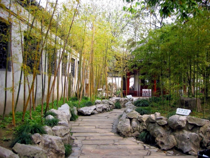 plantes de jardin tiges-bambou-côtés-allée-jardin