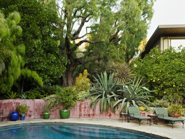 plantes-succulentes-arbres-jardin-exotique-piscine
