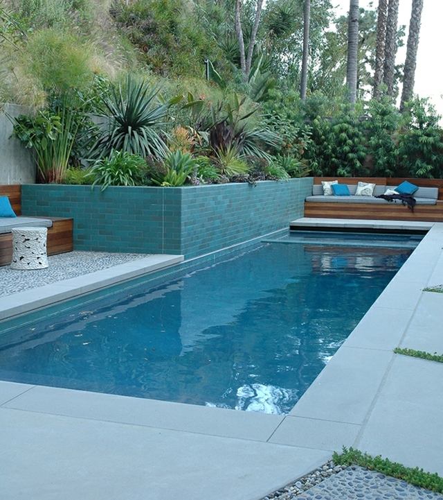 plantes succulentes palmiers jardin pente piscine rectangulaire