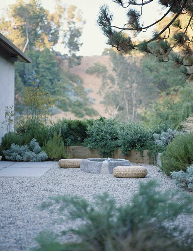 plantes succulentes pin jardin rocaille fontaine