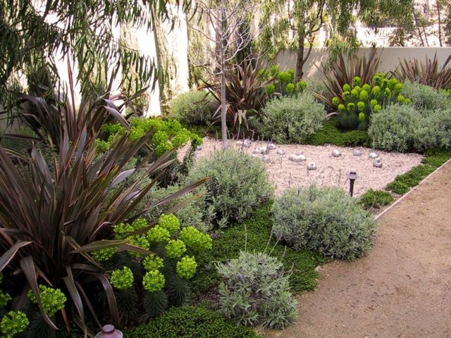 plantes succulentes plantes vivaces jardin rocaille