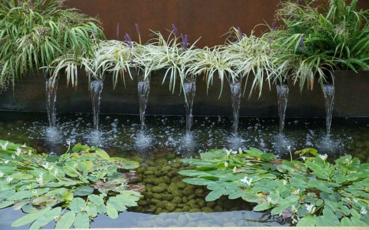 plantes vivaces aquatiques cascades-eau-bassin-jardin