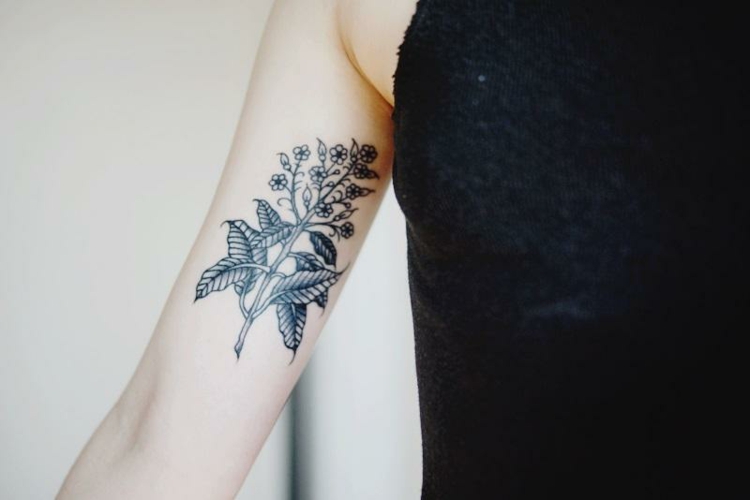 tatouage-avant-bras-femme-branchette