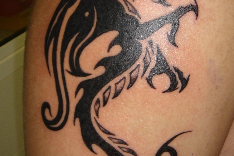 Tatouage dragon - 30 idées de dragon tatouage pour homme et femme