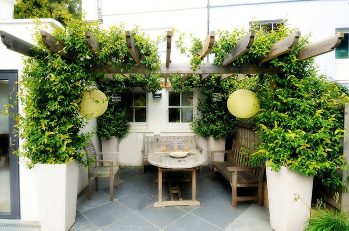 terrasse-couverte-pergola-plantes-grimpantes-coin-repas