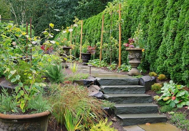 terrasse-et-jardin-escalier-pierre-plantes-grimpantes-deco-exterieure