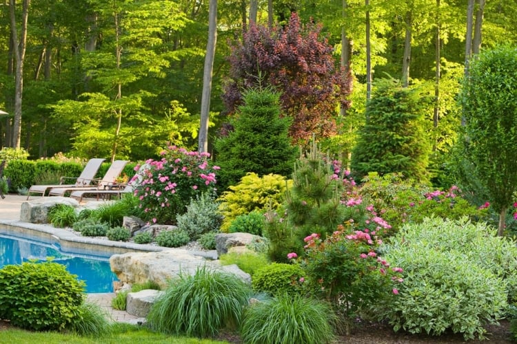 terrasse et jardin idees-amenagement-vegetation-abondante-chaises-longues