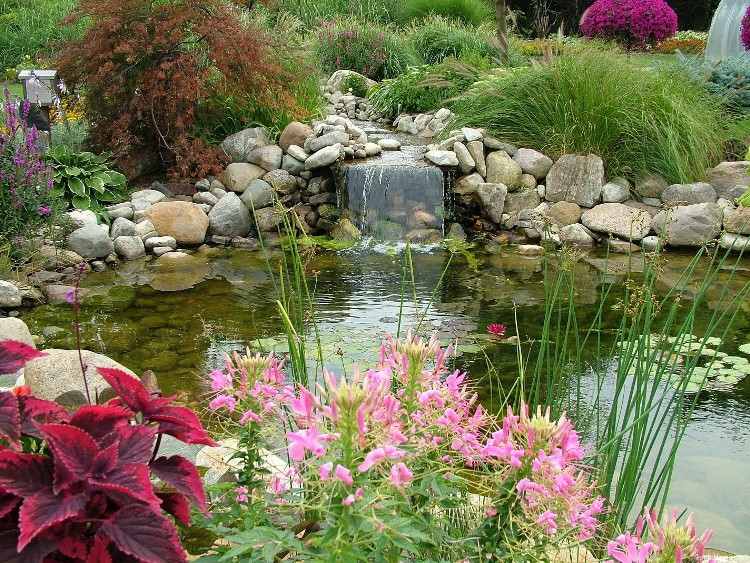 Aménagement jardin de rocaille 30 exemples impressionants