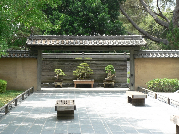 aménagement-jardin-japonais-terrasse-dalles-bonsaï