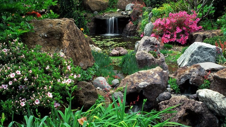 aménagement-jardin-rocaille-bassin-pierres-décoratives