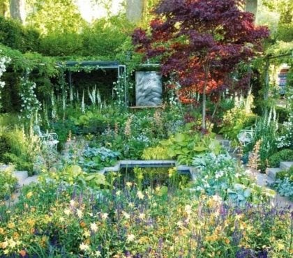 aménagement-jardin-vegetation-abondante-pergola