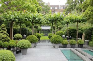 arbuste-persistant-piscine-buis-boules-arbres-gazon2