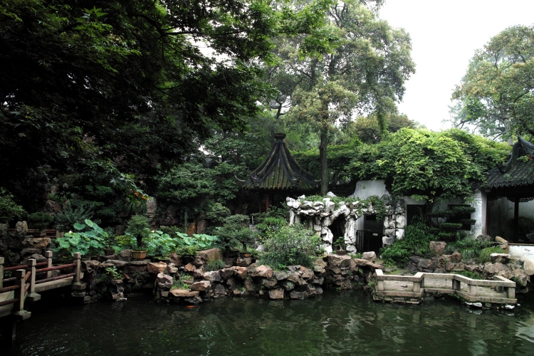 bambou-pot-plantes-vertes-bonsai-jardin-japonais