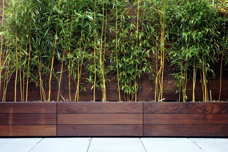 bambou-pot-terrasse-bacs-bois-composite